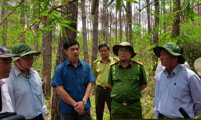 Lãnh đạo tỉnh Lâm Đồng đến kiểm tra hiện trường vụ phá rừng ẢNH: LÂM VIÊN
