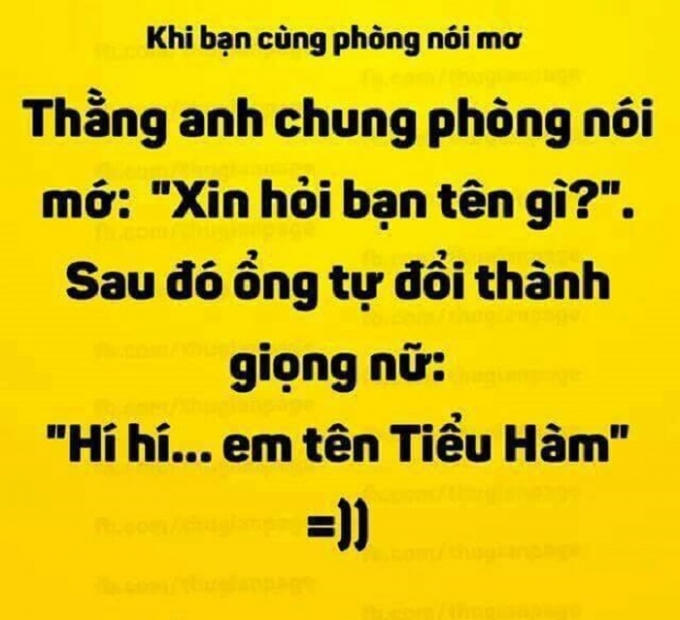 Có những câu nói mơ tạo tiếng cười sảng khoái cho mọi người. (Nguồn:Facebook).
