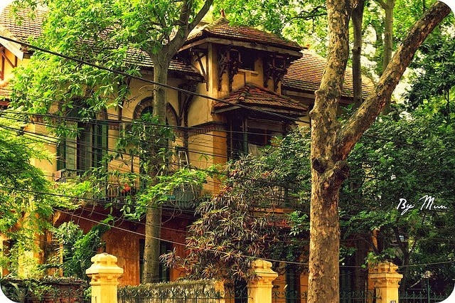 Ảnh minh họa (nguồn: Internet).