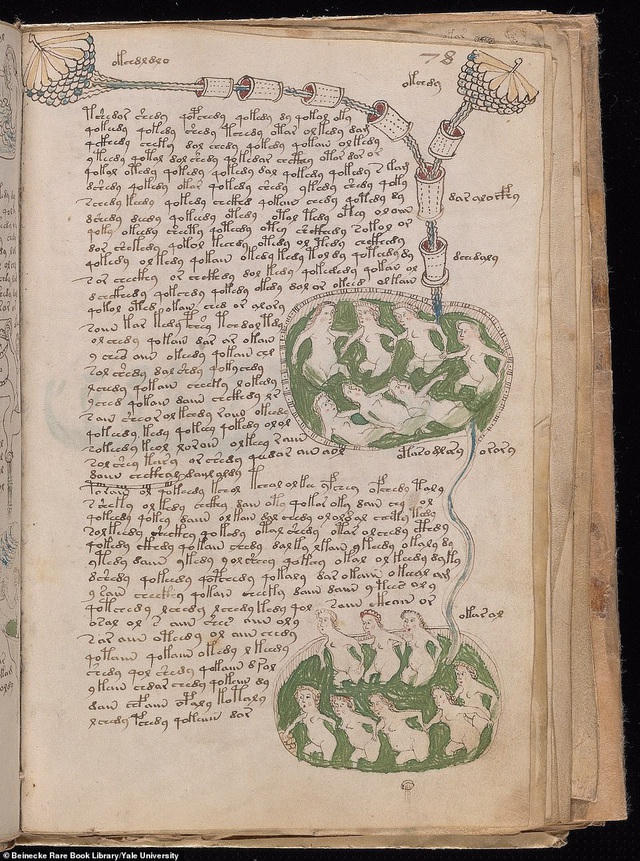 Đây là cuốn bản thảo Voynich được đặt tên theo nhà buôn sách quý hiếm người Ba Lan - Wilfrid Voynich, ông từng tìm thấy cuốn sách này hồi năm 1912 tại một ngôi làng ở Ý. Người ta tin rằng cuốn sách này được thực hiện từ thế kỷ 15, nhưng cho tới hôm nay, không ai còn có thể hiểu thứ chữ viết được sử dụng trong cuốn bản thảo viết tay này. Hiện tại, cuốn sách đang nằm trong thư viện sách và bản thảo quý hiếm của Đại học Yale (Mỹ).