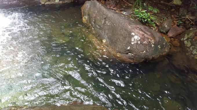 Những dòng nước tại đậy lúc nào cũng trong veo và mát lạnh.