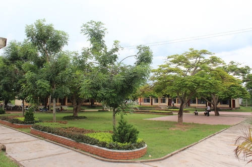Hình minh họa.
