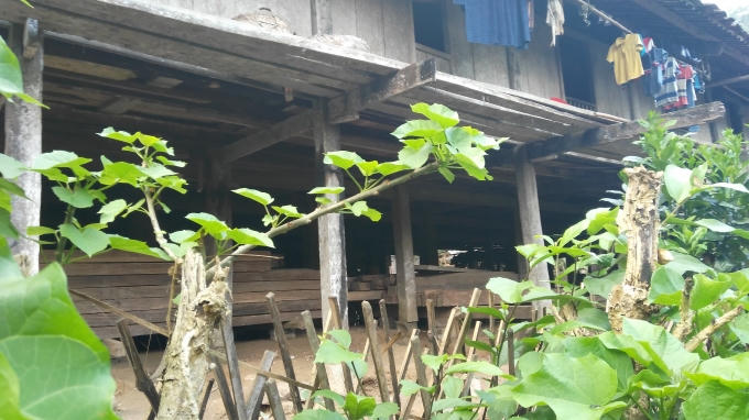 Những tấm gỗ được cất dưới nhà sàn của người dân thôn Nà Bó.