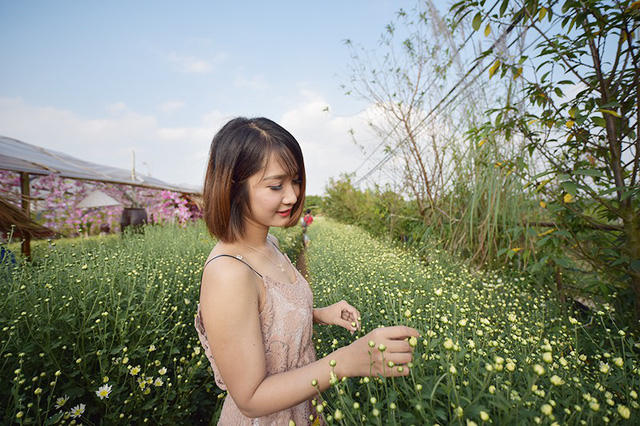 Các cô gái trẻ thả dáng ở vườn cúc hoạ mi.