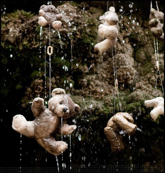 Gấu teddy cũng hóa đá theo thời gian