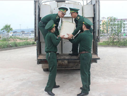 Lực lượng chức năng thu giữ hàng chục nghìn quả trứng gà nhập lậu