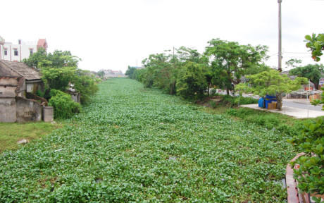 Đoạn sông nơi phát hiện thi thể của nạn nhân xấu số