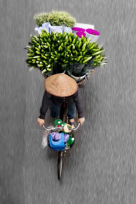 Hay chở đầy những loài hoa theo mùa.