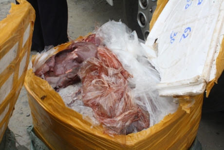Hàng trăm kg nội tạng động vật được phát hiện trên xe khách.