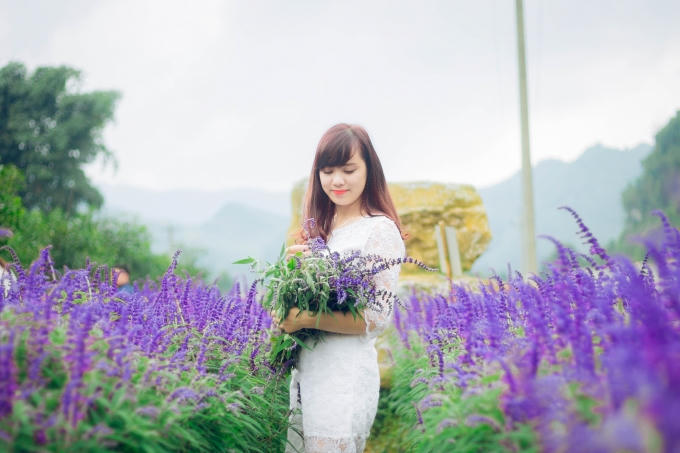 Thiếu nữ đẹp rạng rỡ bên cánh đồng hoa.