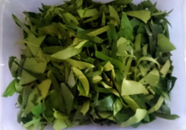 Lá ngũ gia bì được cắt thành đoạn nhỏ, bỏ cuống.