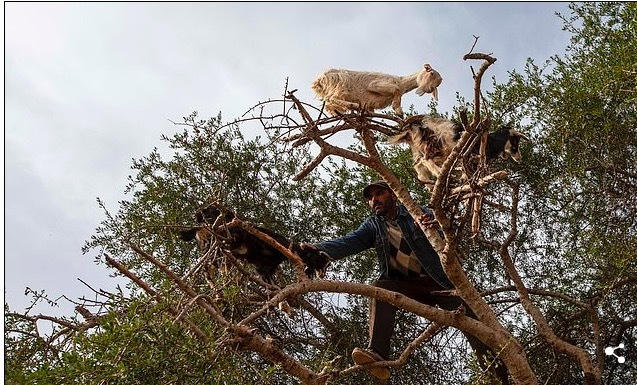 Sự thật cay đắng về điểm sống ảo thu h&uacute;t triệu du kh&aacute;ch