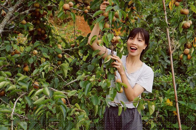 Cô tự trồng một vườn rau đủ loại “tự cung tự cấp thực phẩm”. Tâm An cũng học cách nhuộm quần áo, tự làm tương đậu, nuôi giấm và chế nước rửa bát, dung dịch xịt muỗi bằng các loại cây, củ quả thiên nhiên trong rừng.
