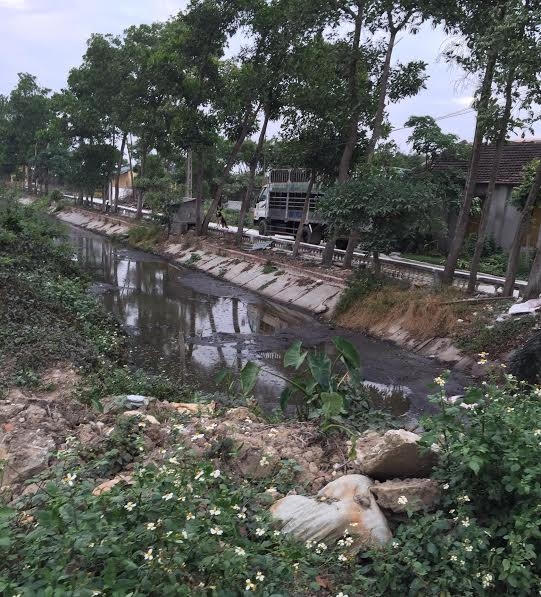 Công ty Đông Xuân xả thải trực tiếp ra hệ thống kênh, mương đồng nghĩa với việc hủy hoại môi trường nước mặt và nước ngầm.