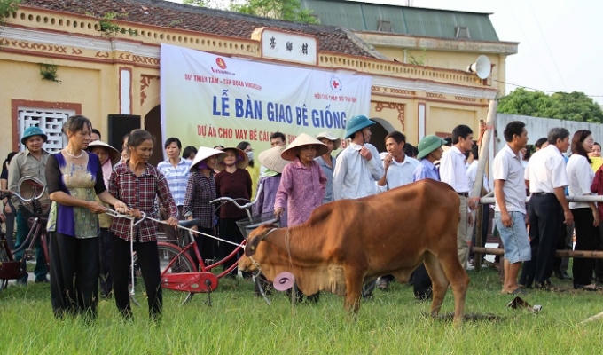 Vingroup hỗ trợ 200 bê cái cho các hộ nghèo tỉnh Thái Bình gây giống