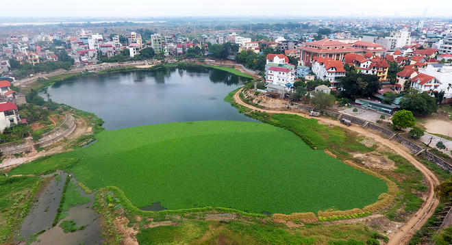 Hồ Quảng Bá (quận Tây Hồ) nằm gần Hồ Tây. Năm 2010, diện tích hồ rộng 6,2 ha nhưng bị giảm xuống chỉ còn khoảng 3 ha vào năm 2015. Hồ Quảng Bá cùng với hồ Tây, hồ Đầm Trị tạo thành hệ thống hồ lớn của quận Tây Hồ. Đây cũng là quận có diện tích mặt nước lớn nhất, chiếm 79% tổng diện tích mặt nước thành phố. Từ 2010 - 2015, tổng diện tích mặt nước quận Tây Hồ giảm hơn 28.000 m2, từ 5,519 triệu m2 xuống còn 5,49 triệu m2.