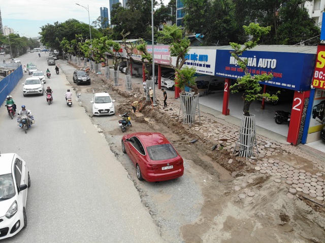 Một nhân viên thuộc Ban QLDA các công trình giao thông Hà Nội cho biết, để thực hiện dự án cầu vượt nút giao Hoàng Quốc Việt - Nguyễn Văn Huyên, đơn vị thi công phải giải phóng mặt bằng. Một trong những vấn đề nan giải là dịch chuyển 35 cây gỗ sưa quý hiếm (trong đó 1 cây chết, còn 34 cây sống).