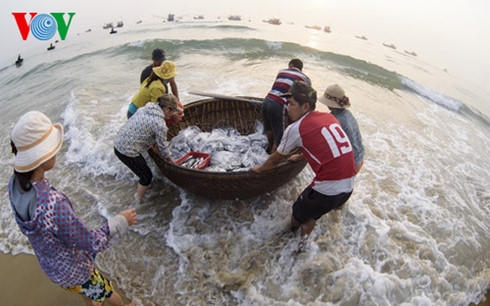 Sự cố môi trường biển do Formosa gây ra là bài học lớn cho Việt Nam (Ảnh minh họa - nguồn VOV)