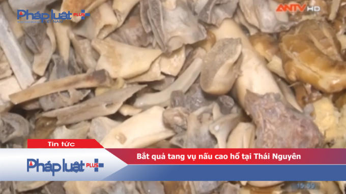 Bắt quả tang vụ nấu cao hổ tại Thái Nguyên.
