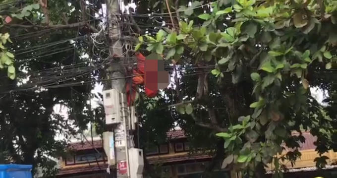 Nạn nhân gặp nạn ngay trên cột điện. (Ảnh chụp từ video facebook Huu Loi Ngo)