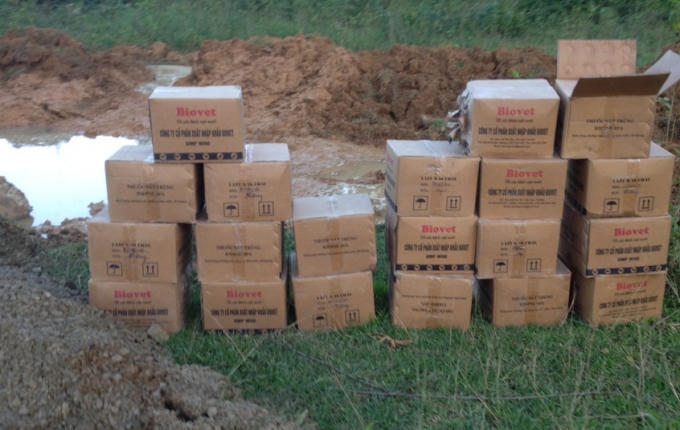 Thuốc khử trùng được phun lên xác đnà lợn trước khi chôn lấp.