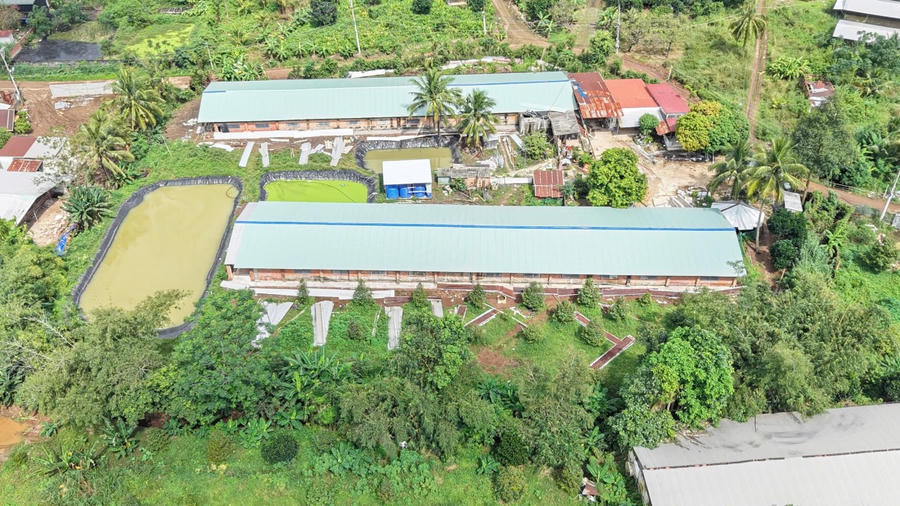 Toàn cảnh trang heo gây mùi hôi nhìn từ trên cao.