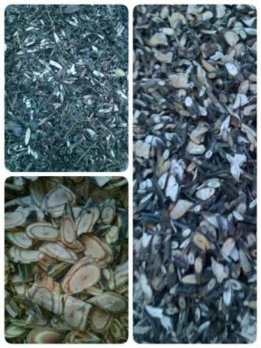 Vị thuốc quý chữa vô sinh của lương y Tặng Thị Sệnh.