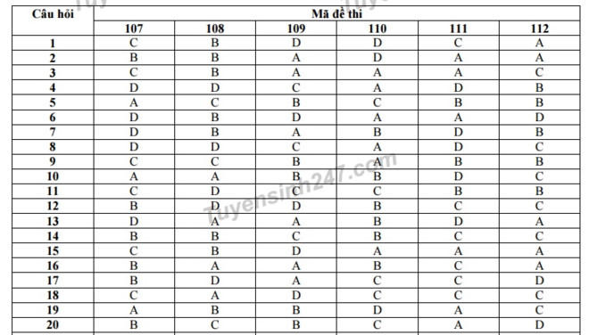 Gợi &yacute; đ&aacute;p &aacute;n 24 m&atilde; đề To&aacute;n thi THPT quốc gia 2017