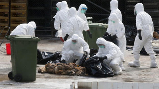 Tình hình dịch cúm đang diễn ra khá phức tạp. Ảnh minh họa. (Ảnh: Reuters) 