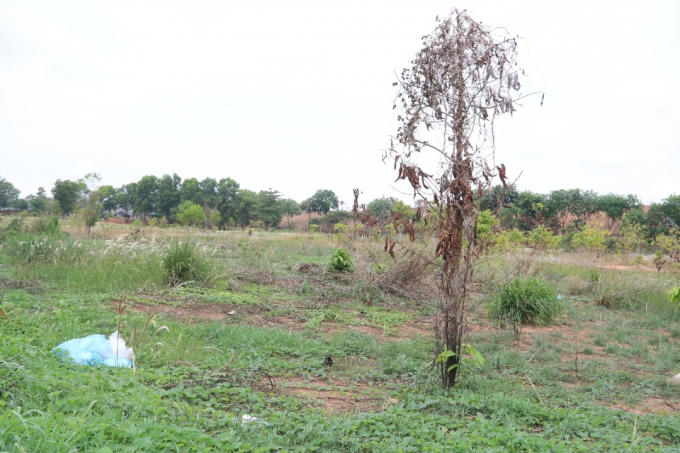 Screenshot_20200506-232052_Gmail