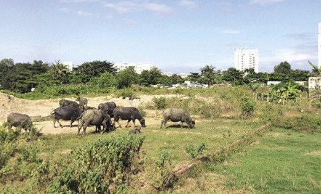 Khu đất thực hiện dự án. (ảnh: Báo mới)