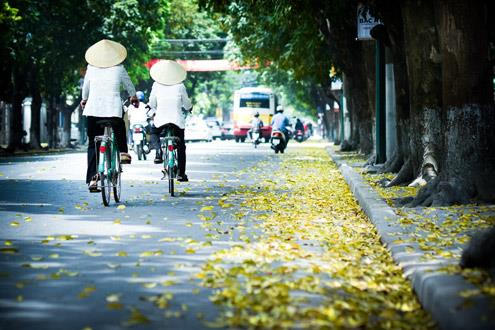 Bắc Bộ giảm bớt mưa giông, trời nắng nóng. Ảnh: TTXVN