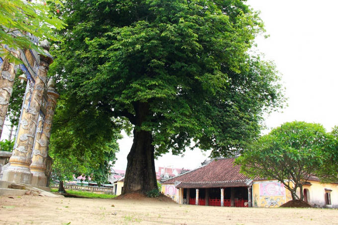 Đình làng Dương Nỗ, nơi gắn liền với tuổi thời Bác.