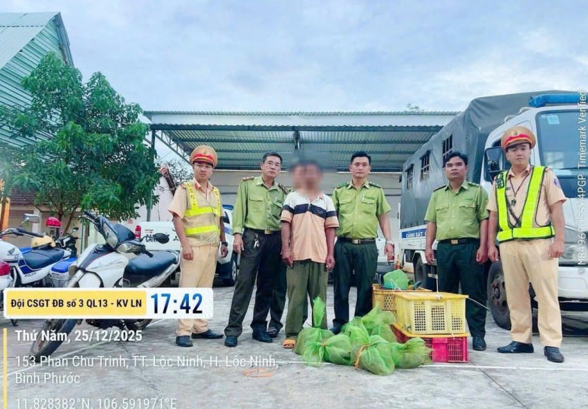 Lực lượng chức năng thu giữ các động vật hoang giã.
