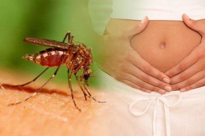 2 thai phụ nhiễm Zika đang được theo dõi đã phải ngưng thai kỳ. Ảnh: minh họa
