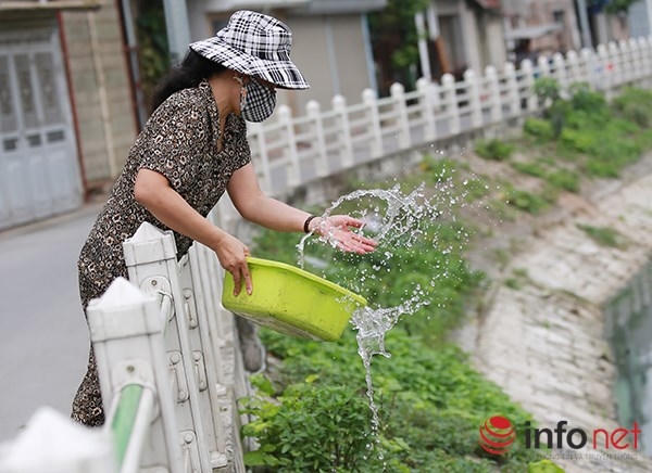 Khu bờ kè hồ Tai Trâu (Ngọc Lâm, Long Biên, Hà Nội) là một ví dụ điển hình, cứ mỗi buổi chiều hàng ngày, người dân nơi đây lại rủ nhau ra chăm sóc những vườn rau mini được trồng xung quanh hồ.