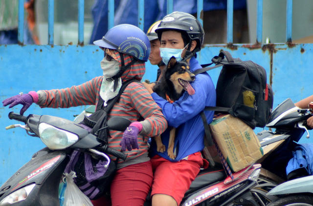 Trong dòng người hối hả trở lại thành phố có cả những nhân vật đặc biệt này.