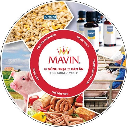 Chuỗi mô hình khép kín của Mavin