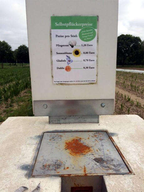 Quầy bán hoa tự động tại Đức (ảnh FB Giang Nguyen Hong)