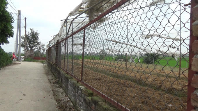 Mảnh đất tại thôn Đông Hương đã bị giao trái thẩm quyền cho ông Vũ Xuân Tuấn, trú tại thôn Giàng - Thị trấn Thứa