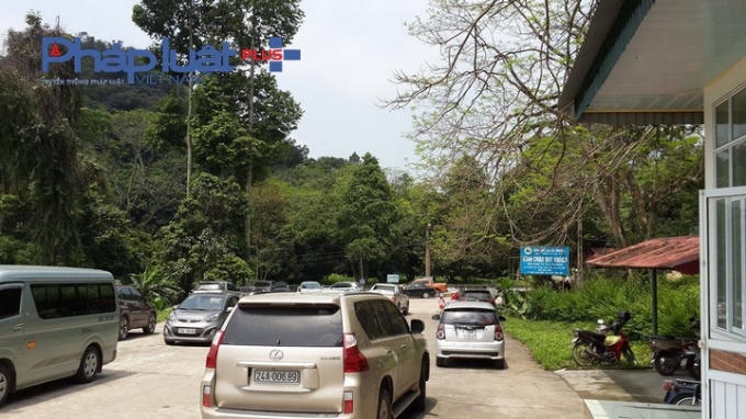 Dòng xe xếp hàng chờ qua cửa vườn.