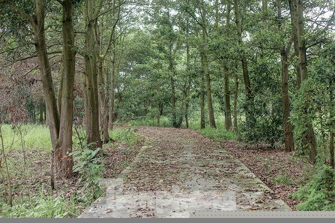 Công trình bệnh viện đa khoa không được sử dụng, gây lãng phí quỹ đất và cơ sở hạ tầng.