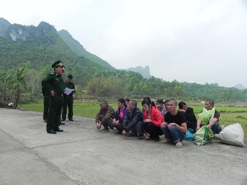 Nguồn: Internet