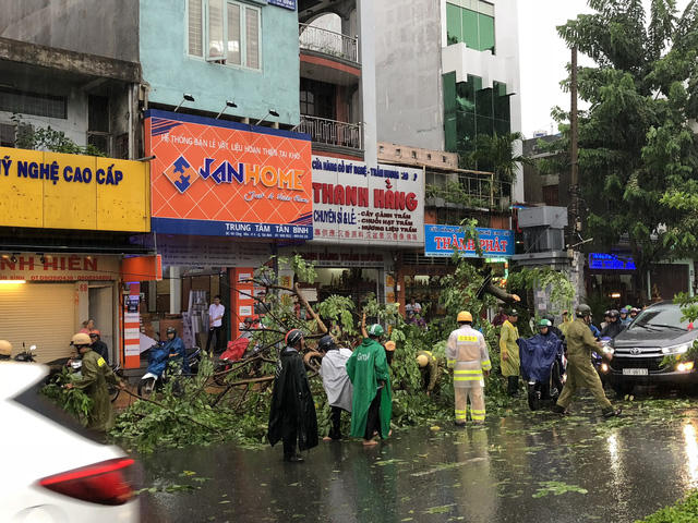 Một cây xanh bật gốc do mưa gió