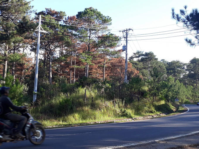 received_755633138628080.