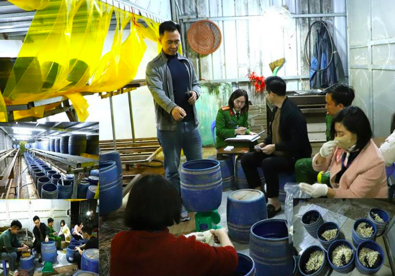 Lực lượng chức năng kiểm tra, phát hiện cơ sở sản xuất gần 3 tấn giá đỗ ngâm hoá chất. Ảnh CA Ninh Bình.