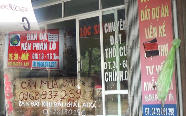 Bản tin Bất động sản Plus: Ai đang thao túng