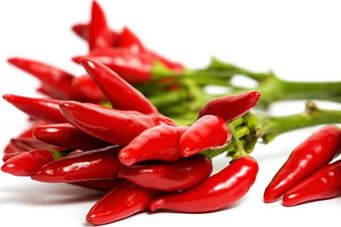 Rượu ớt được coi như thần dược.