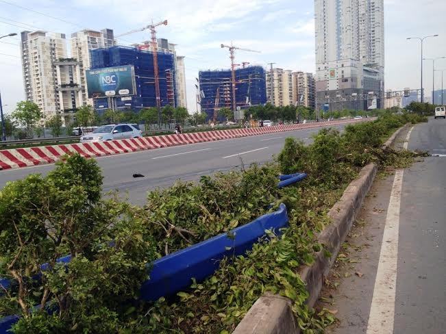 Hai cột đèn bị tông gãy, cây xanh bị cày nát.