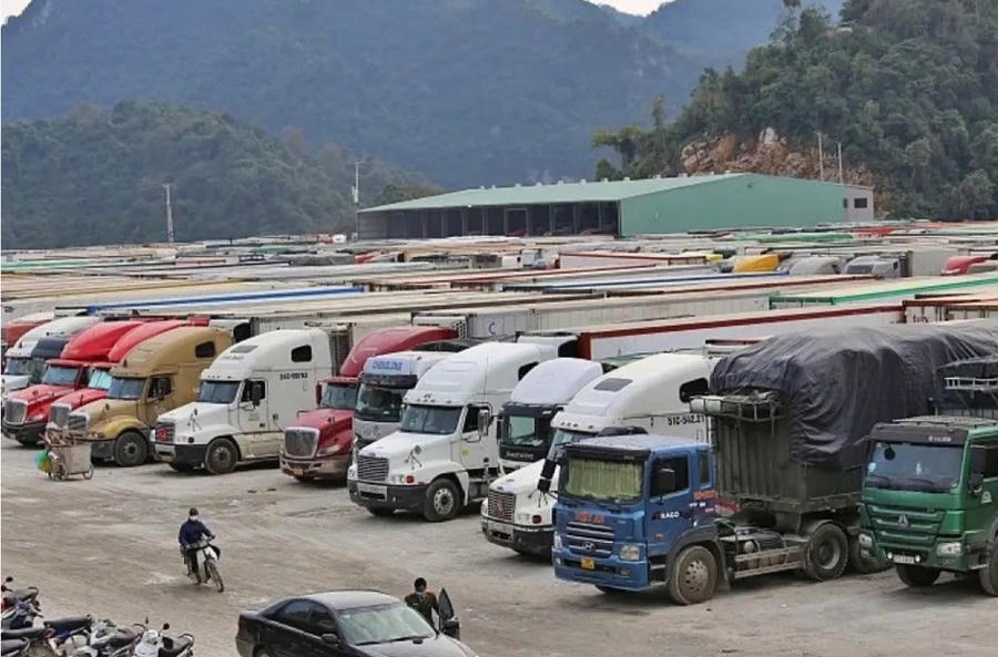 Các đơn vị kiểm tra chuyên ngành tại cửa khẩu đã đồng loạt tạm ngưng cấp giấy chứng nhận kiểm dịch và kiểm tra an toàn thực phẩm cho các lô hàng thực phẩm nhập khẩu (động vật, thực vật). (Ảnh Lao Động).
